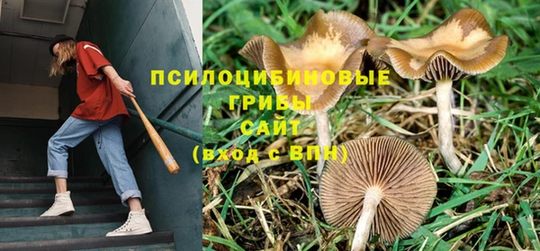 круглые Красноперекопск