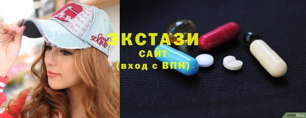 дживик Краснослободск