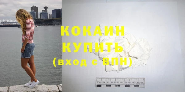 дживик Краснослободск