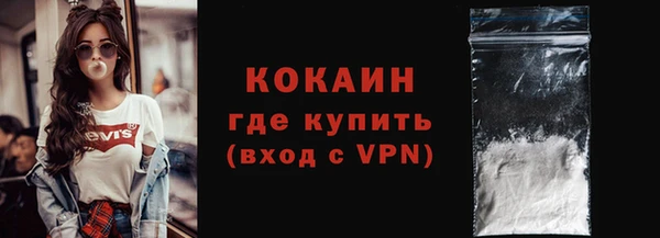 дживик Краснослободск