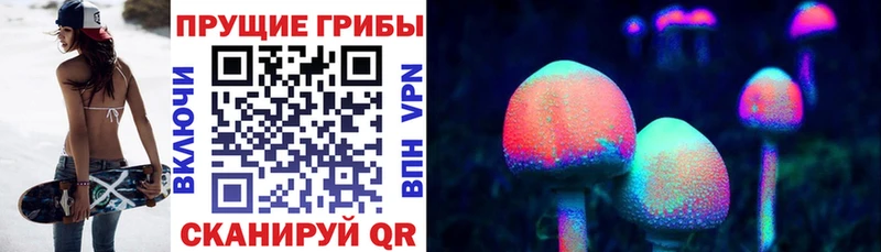 Псилоцибиновые грибы прущие грибы Купить Шенкурск