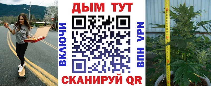 Купить где  Шенкурск  Канабис индика 
